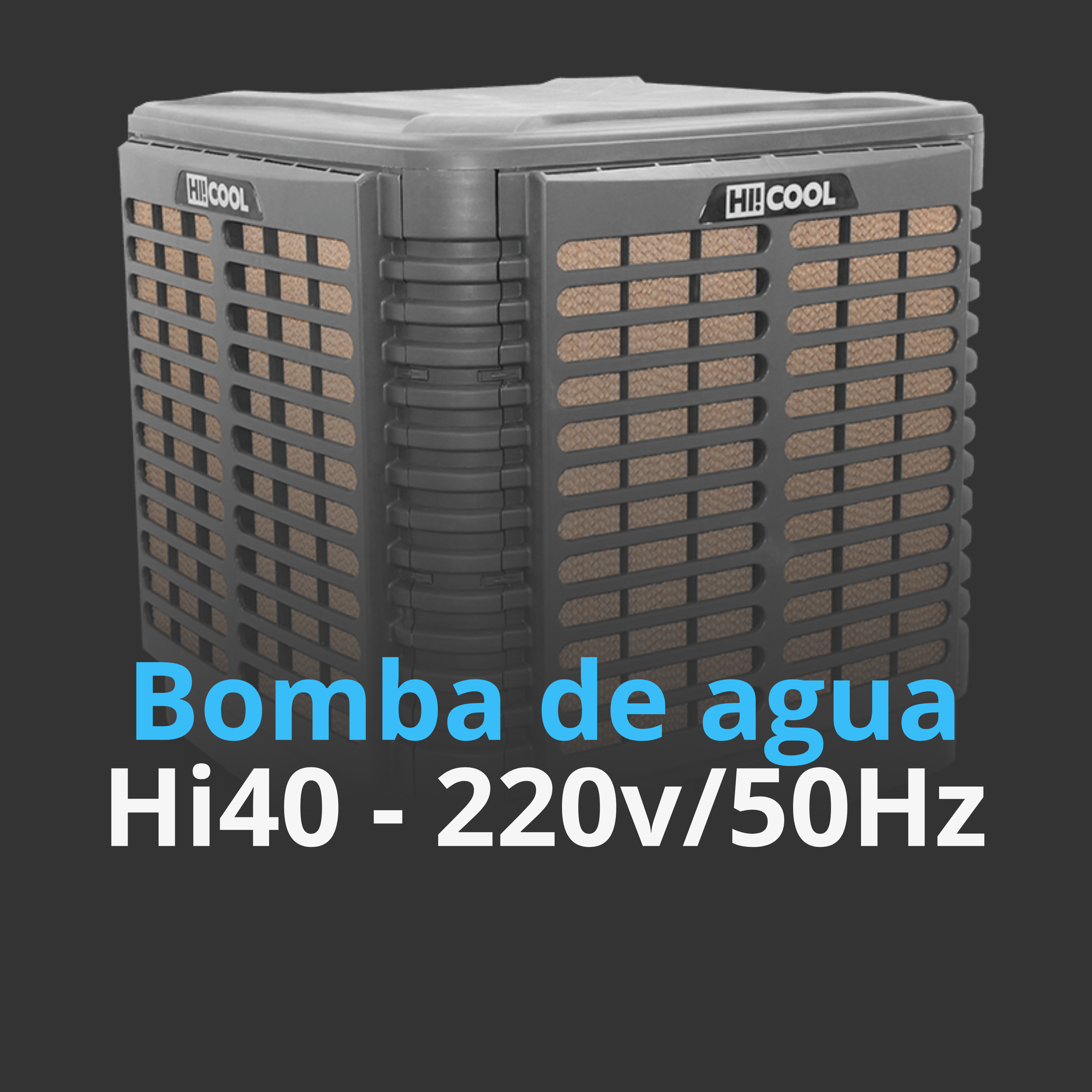 Bomba de Agua HI40 220V/50Hz