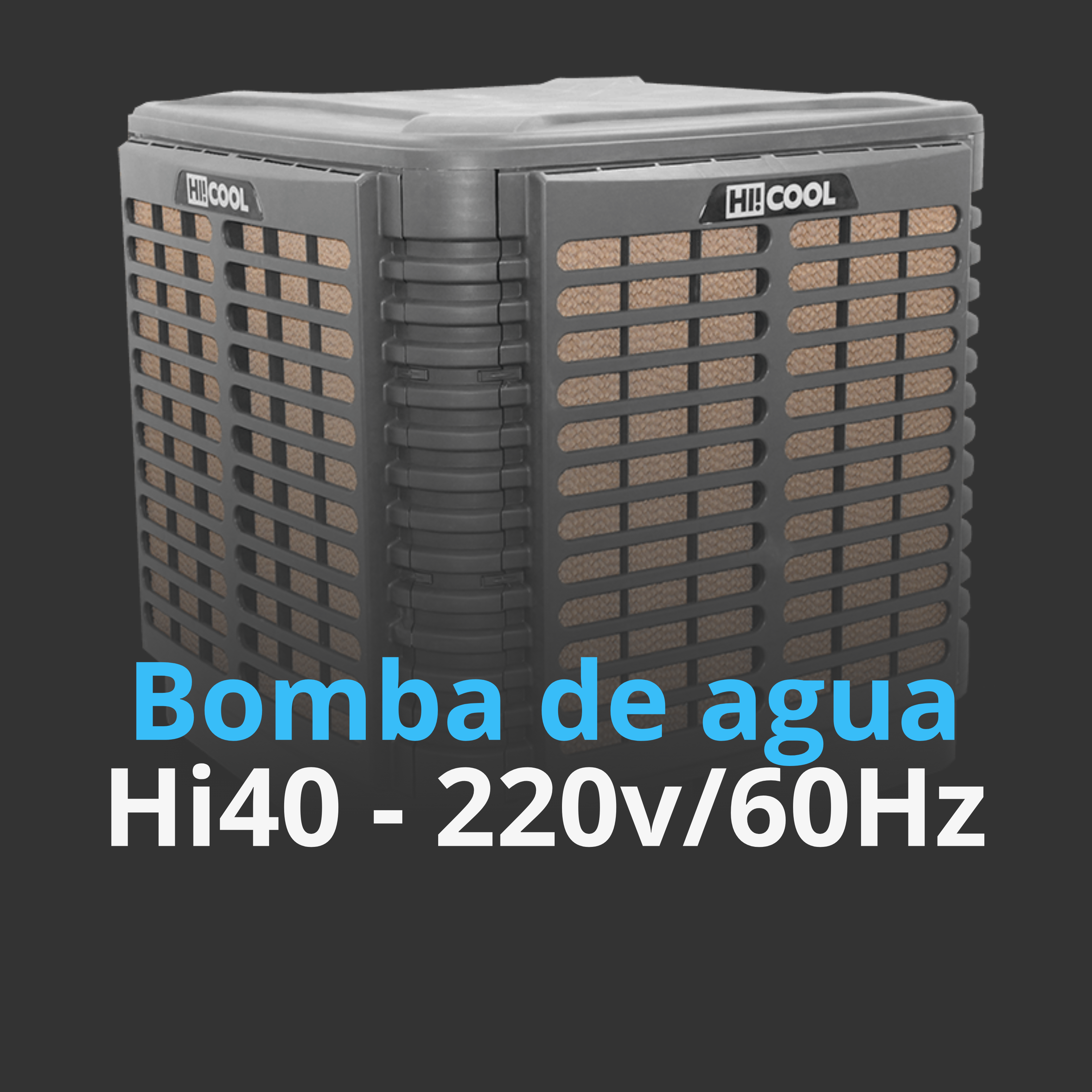 Bomba de Agua HI40 220V/60Hz