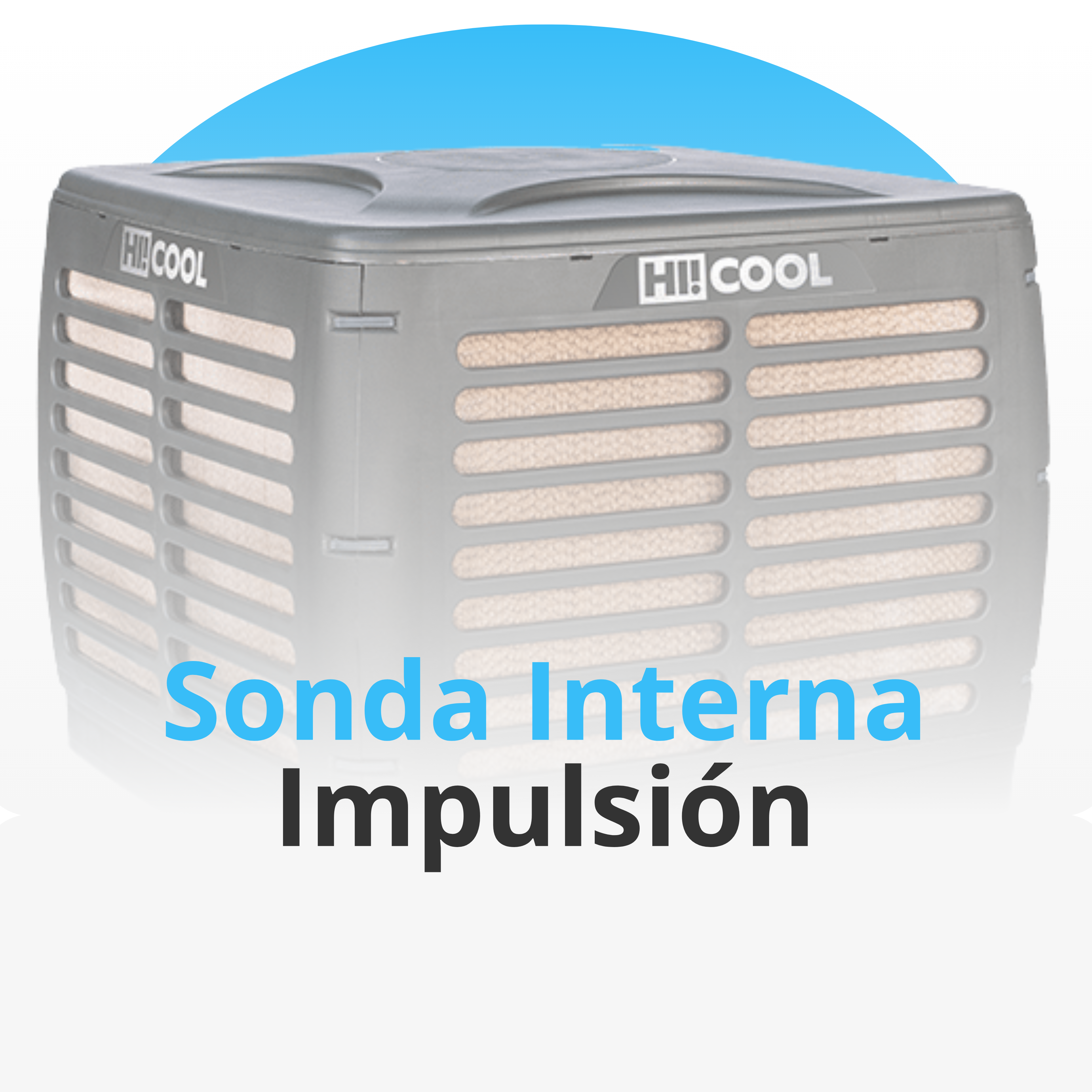 Sonda Interna Impulsión HI20